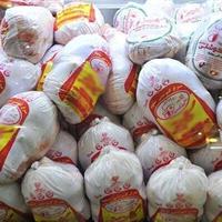 کشف ۳۱ تن مرغ قاچاق در گمرک باشماق