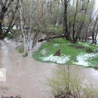 سیل به ۵۰ هکتار از باغات نمهیل خلخال خسارت زد