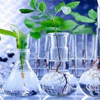 نمایش دستاوردهای دانش بنیان کشاورزی ایران در البرز