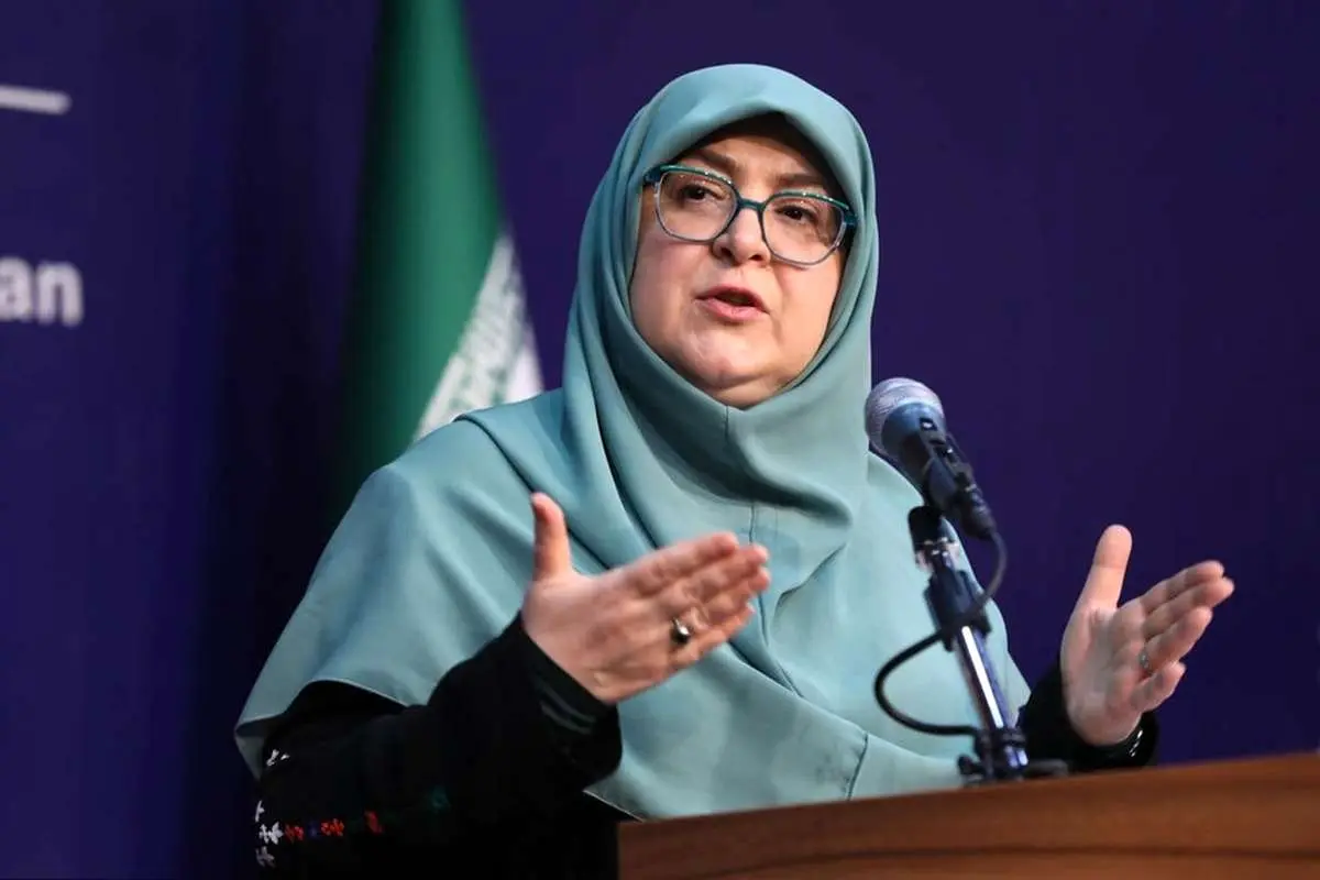 سخنگوی دولت در واکنش به صحبتهای همتی: نباید اظهارات فردی را به دولت نسبت داد