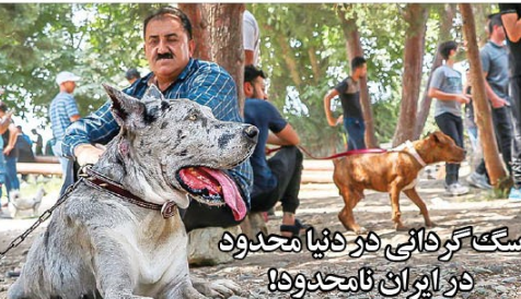 سگ‌گردانی در دنیا محدود، در ایران نامحدود!
