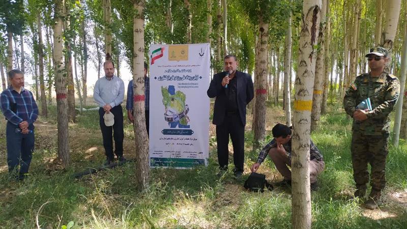 کشت ۱۷ نوع گندم به کشاورزان استان مرکزی معرفی شد
