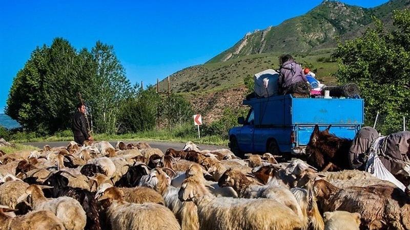 اتخاذ تدابیر لازم برای کوچ ایمن عشایر در جاده کرج - چالوس