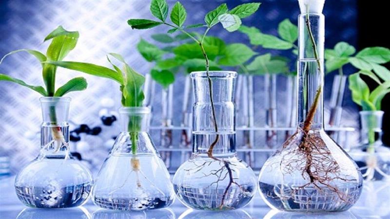 نمایش دستاوردهای دانشبنیان کشاورزی ایران در البرز