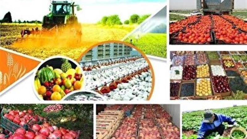 در هفته جهاد کشاورزی، بازار بهره برداری طرحها در ایلام، گرم میشود