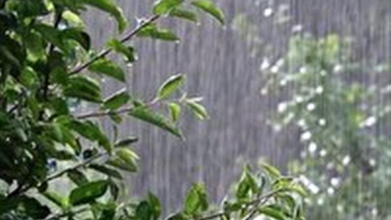 ثبت بارش باران در ۶۰ ایستگاه باران سنجی خراسان جنوبی