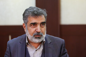 کمالوندی: امکان ندارد کشور زیر بار غنی‌سازی صفر یا مینیاتوری برود