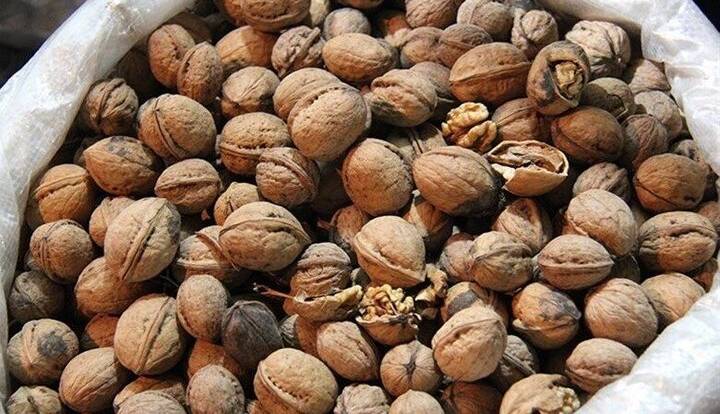کشف محموله ۶ تُنی مغز گردوی قاچاق در کبودرآهنگ