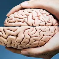 اگر سلولی در مغز از بین برود راه بازگشتی وجود ندارد