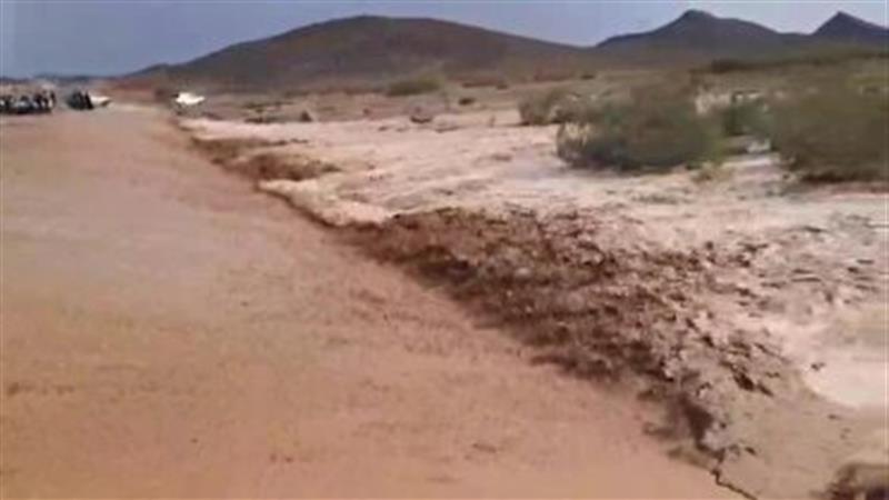 خسارت سیلاب به بیش از ۲۰ واحد مسکونی خراسان جنوبی
