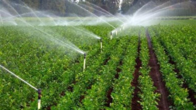صرفه جویی ۲۸۸ میلیون مترمکعبی آب با توسعه سامانههای نوین آبیاری در زنجان
