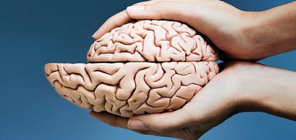 اگر سلولی در مغز از بین برود راه بازگشتی وجود ندارد