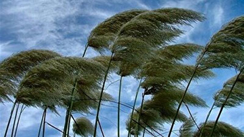 وزش باد ۶۰ تا ۸۰ کیلومتری و گردوخاک در قم