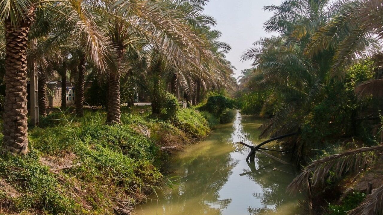 آغاز تحول در شیوه آبیاری بیش از ۳۴ هزار هکتار زمینهای کشاورزی بوشهر