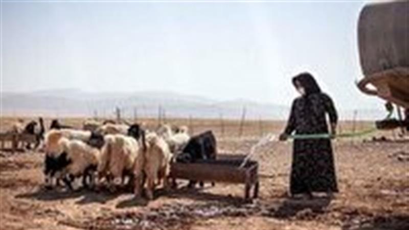 تامین آب پایدار ۶۵۰ خانوار عشایری خراسان شمالی نیازمند ۲۵ میلیارد تومان اعتبار