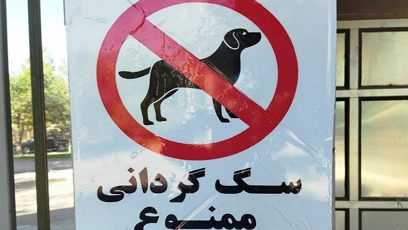 سگ گردانی در زنجان ممنوع شد