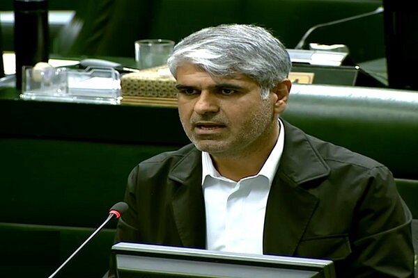 اظهارات سخنگوی هیات نظارت بر رفتار نمایندگان مجلس درباره پیامک‌های اخیر علیه مدنی زاده