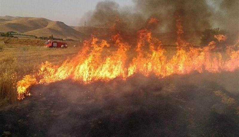 سوزاندن بقایای زراعی ممنوع؛ برخورد قضایی در انتظار متخلفان