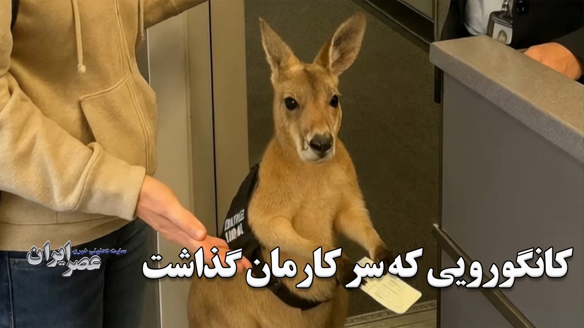کانگوروی بلیط به دست و ویدئوهای جعلی هوش مصنوعی که جهان را فریب داد