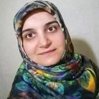 اظهارات عجیب معاون وزیر خارجه درباره سلول انفرادی مهدیه اسفندیاری در فرانسه