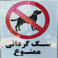 سگ گردانی در زنجان ممنوع شد