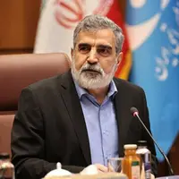 کمالوندی: اطمینان می‌دهیم کشور ما زیر بار غنی‌سازی صفر نخواهد رفت