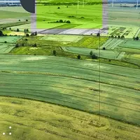 شناسایی ۸ تغییرکاربری غیرمجاز در اراضی کشاورزی خوزستان