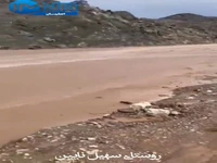 جاری شدن سیلاب در نائین