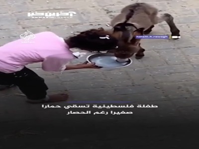 انسانیت در دل جنگ، قحطی و ویرانی غزه