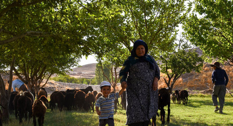 گزارش جالب صداوسیما از خانواده‌ای به بزرگی یک روستا در شمال کشور 