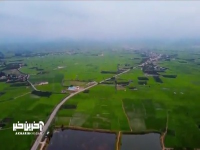 بندپی بابل، قصه‌ای از زیبایی بی‌صدا