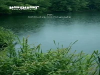 لحظه زیبای برخورد قطرات باران بر سطح دریاچه
