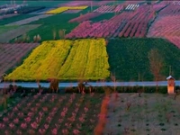 طبیعت زیبای گرگان
