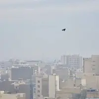 دو شهر خوزستان در وضعیت قرمز آلودگی هوا