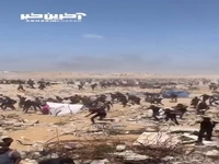 25 شهید در تیراندازی صهیونیست ها به مرکز توزیع کمک‌ها در غزه