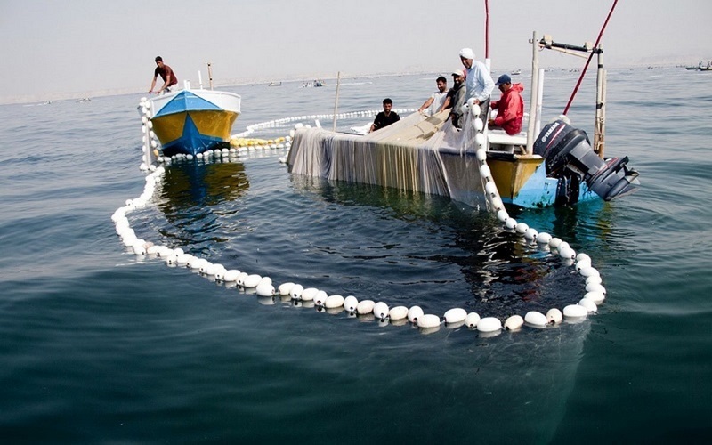 دستگیری ۱۱۵ متخلف حوزه شیلات در خوزستان