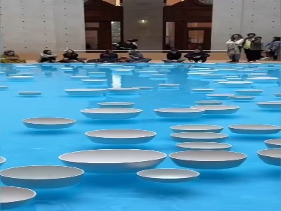 کارِ زیبای هنرمند فرانسوی