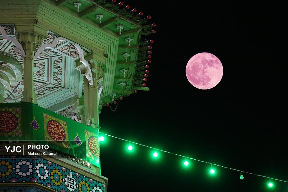 ماه توت فرنگی