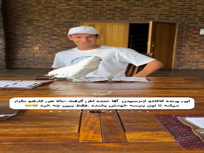 پرنده کاکادو ازترسیدن یک مرد خنده اش گرفت