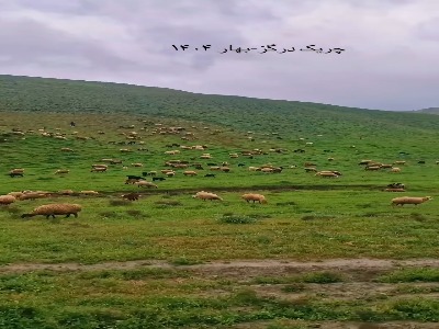 چریک درگز در بهار