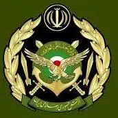 کشف محموله سنگین سلاح قاچاق در مرزهای غربی کشور توسط ارتش