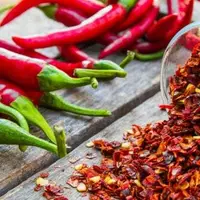 آیا مصرف بی‌رویه غذاهای تند به سلامت دستگاه گوارش کمک می‌کند؟