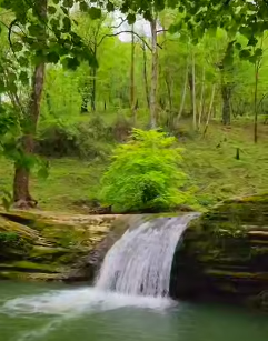 صدای زیبای طبیعت