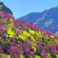  روستای دیوزناو با دره های زیبا و رنگی ارغوان 