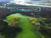 نمایی از طبیعتِ دشت شیمبار 