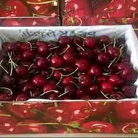 میوه‌ای مغذی که به کاهش علائم آرتروز کمک می‌کند
