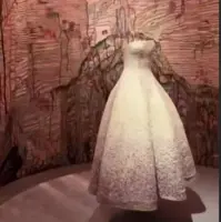موزه ی دیور پاریس