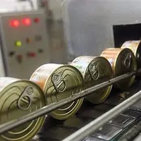 سندیکای صنایع کنسرو ایران خبر از ثبات تولید و توزیع محصولات کنسروی داد