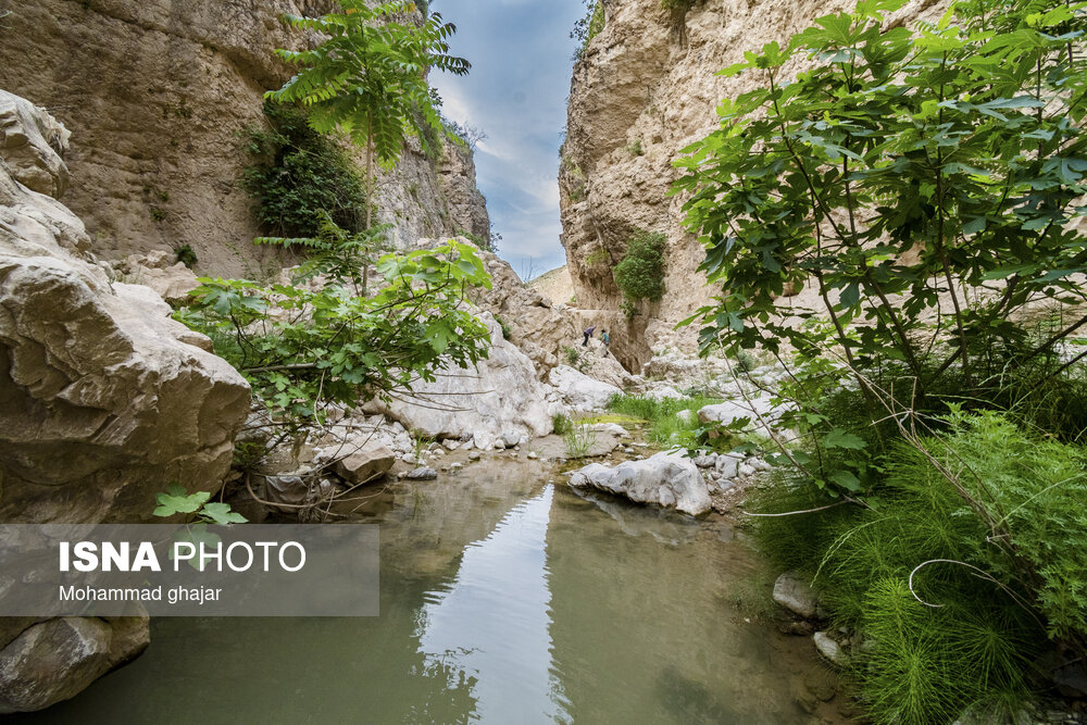 آبشار و دره زیبای بالی قایه در استان گلستان
