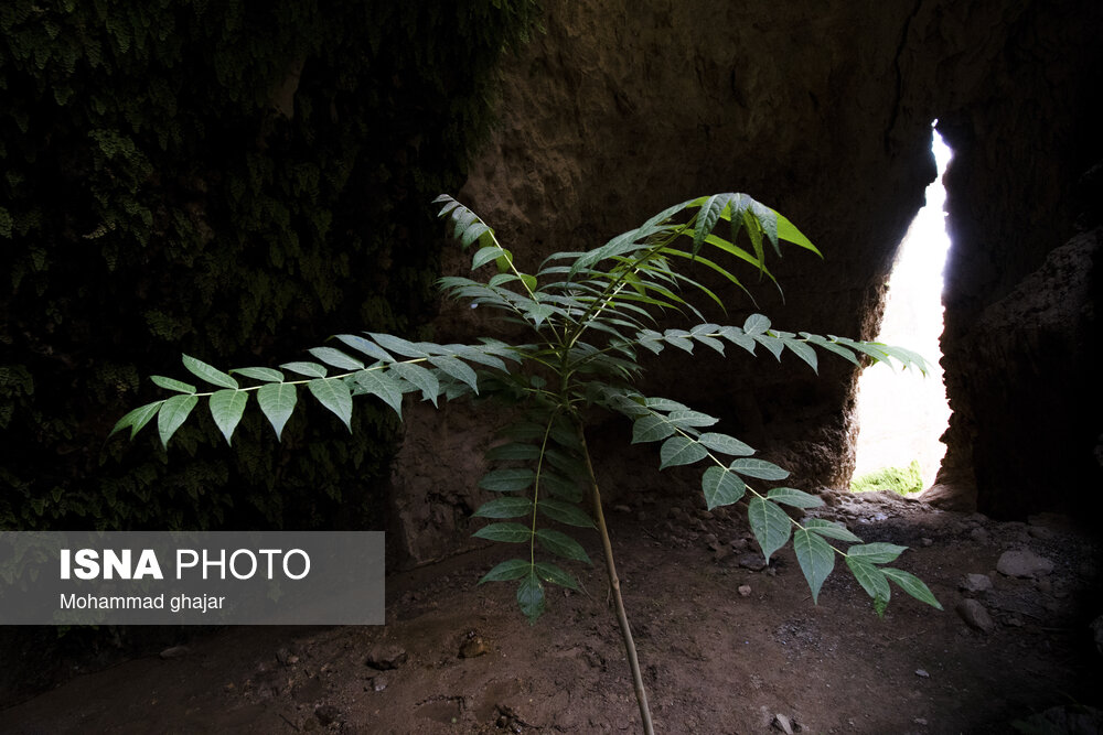 آبشار و دره زیبای بالی قایه در استان گلستان